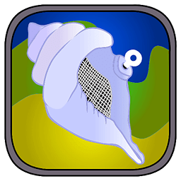 Magic Shell