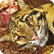 Leopard Cub Wallpaper 