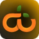 D Plus