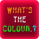 什么颜色 Whats the Color