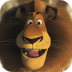 马达加斯加拼图 Madagascar Puzzle