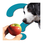 Can Dogs Eat