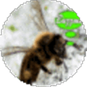 BuzzMe Personal Assistant