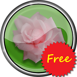Roses live photo frame f...
