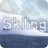 Skating talent