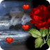 Valentines Sea LWP