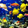 深海水族馆壁纸
