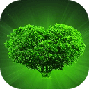 解迷神秘语言：身体出现问题的表现