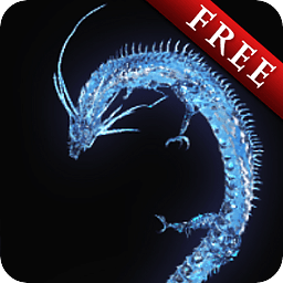 Dragon Star&amp;Blue Trial