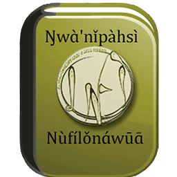 DICTIONNAIRE NUFI-FRANC-...