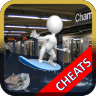 Subway Surf to Rome Fan