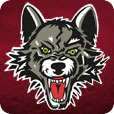 Chicago Wolves