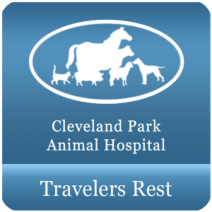 CPAH Travelers Rest