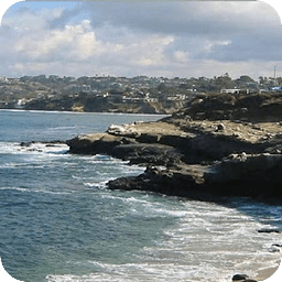 San Diego CPA