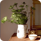 来找茬高清物体