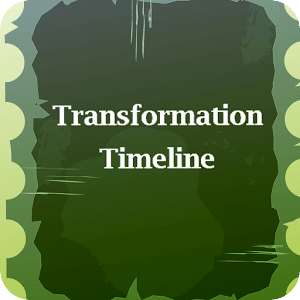 Transformation Timeline