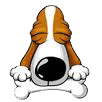 守护犬