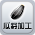 瓜籽加工