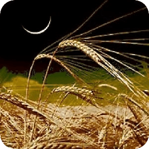 Aviv Biblical Calendar Moadim