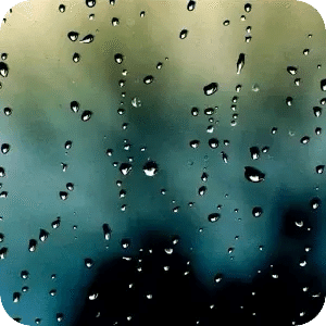 Rain Mood