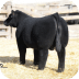 Trausch Farms
