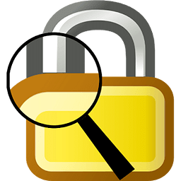 SSL Verify