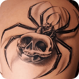 Spider Tattoo Ideas