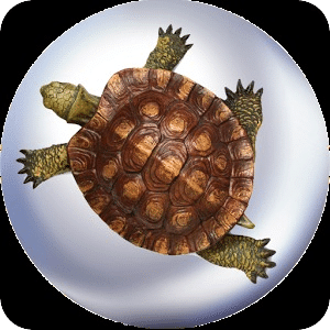 Hasty Turtle Free