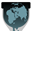 Wikileaks Widget