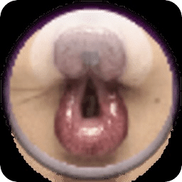 伪装