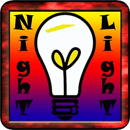Night Flood Light