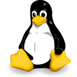 SGS kernel flasher