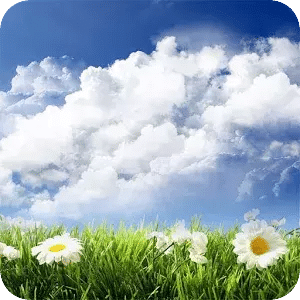 Sky Backgrounds
