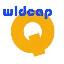 Quizz'n世界首都（免费）