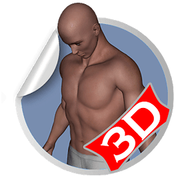 Flat Belly 3D Workout Sets