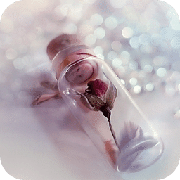 玫瑰物语-动态壁纸