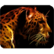 Colorful HD