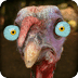 Turkey for Thanksgiving