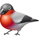 Bird Center: Kids Learn Birds