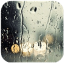雨后的美丽动态壁纸
