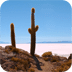 Desert - PuzzleBox