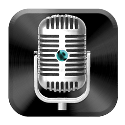 Voice Recorder Widget