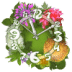花钟动态壁纸