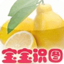 宝宝识图水果大全