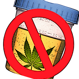 Pass Drug Test - Fast De...