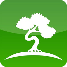 Bonsai Garden