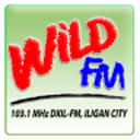 野生调频伊利