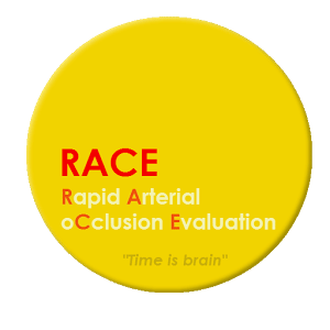 Escala RACE