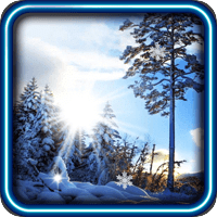 Winter Sunny Day HD LWP