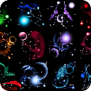 12星座女生专属花卉